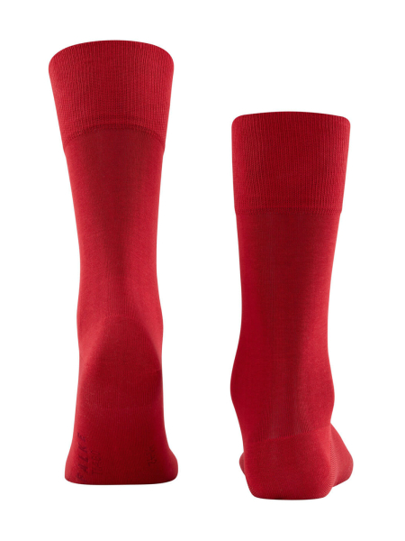 Носки мужские Men socks Tiago FALKE 14662 купить онлайн