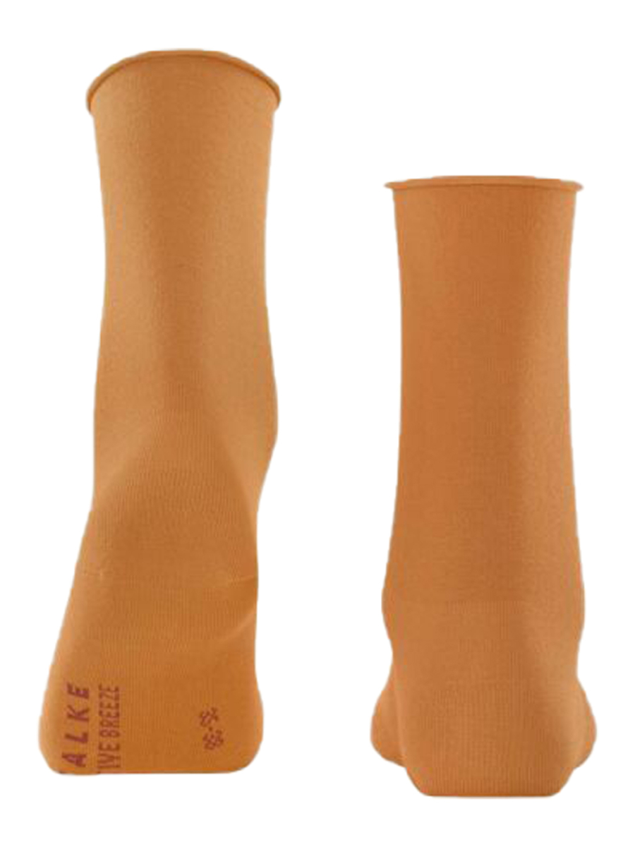 Носки женские Active Breeze Women Socks FW22/23 FALKE 46189 купить онлайн